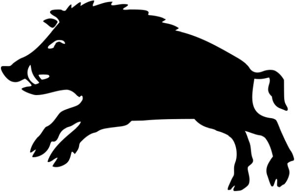 野猪 PNG免抠图透明素材 16设计网编号:31399