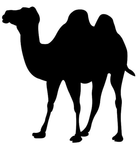 骆驼 PNG免抠图透明素材 普贤居素材编号:23404