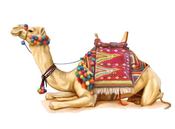骆驼 PNG免抠图透明素材 素材中国编号:23407