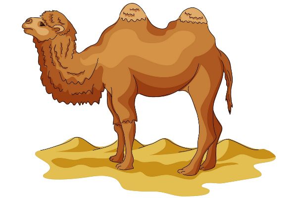 骆驼 PNG透明元素免抠图素材 16素材网编号:23427