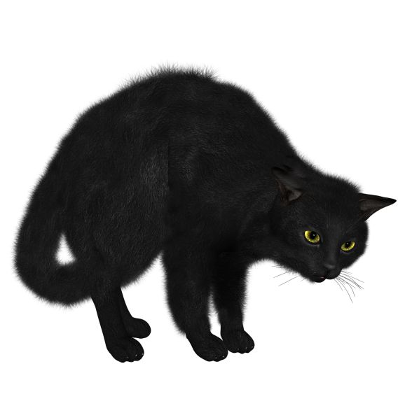 黑猫PNG透明背景免抠图元素 素材中国编号:1616