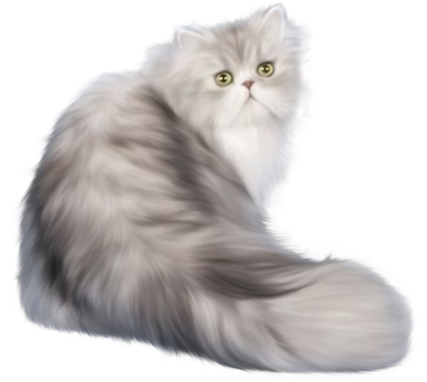 坐着的猫 PNG免抠图透明素材 普贤居素材编号:50528