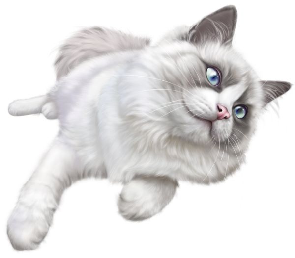 趴着的猫 PNG免抠图透明素材 16设计网编号:50549