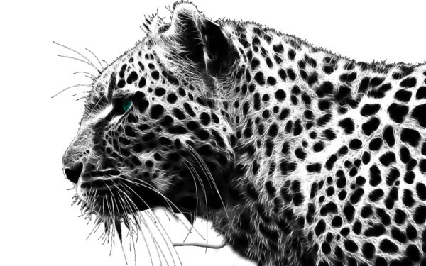 猎豹 PNG免抠图透明素材 素材中国编号:14863