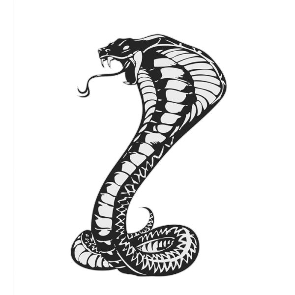 眼镜蛇 PNG免抠图透明素材 16设计网编号:54731