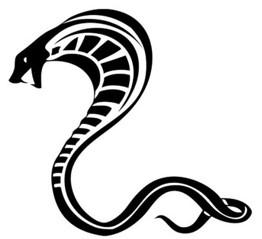 眼镜蛇 PNG透明背景免抠图元素 16图库网编号:54742