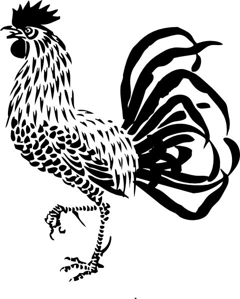 公鸡 PNG免抠图透明素材 16设计网编号:19936