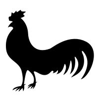 公鸡 PNG免抠图透明素材 16设计网编号:19913