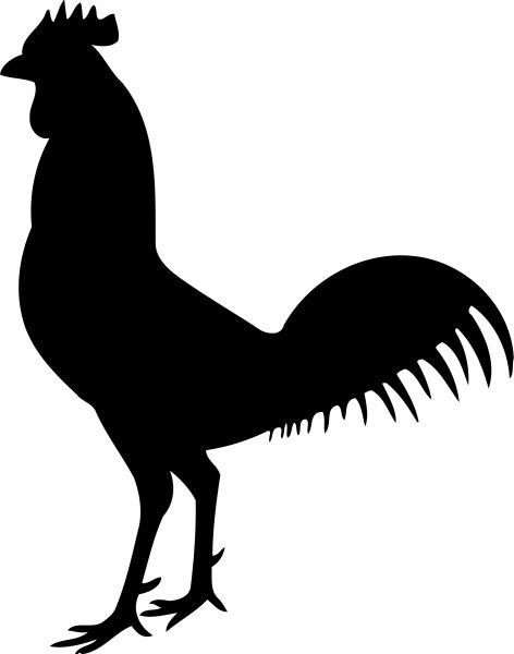 公鸡 PNG透明背景免抠图元素 16图库网编号:19919