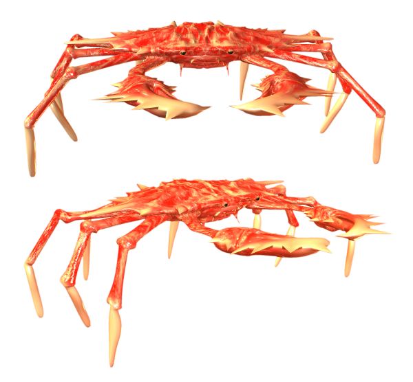 螃蟹 PNG免抠图透明素材 16设计网编号:23718
