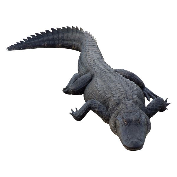 鳄鱼 PNG免抠图透明素材 16设计网编号:13176