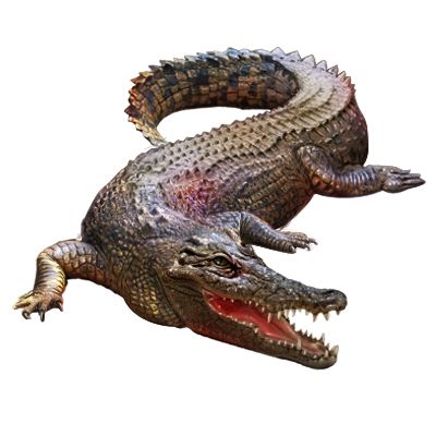 鳄鱼 PNG免抠图透明素材 素材中国编号:13179