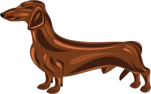 腊肠犬 PNG免抠图透明素材 16设计网编号:72346