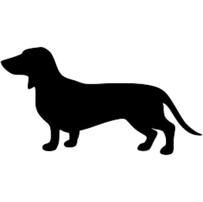 腊肠犬 PNG免抠图透明素材 16设计网编号:72347
