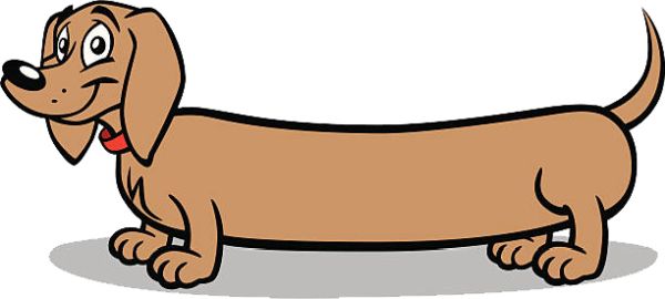 腊肠犬 PNG透明背景免抠图元素 16图库网编号:72348