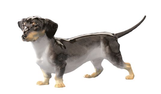 腊肠犬 PNG透明背景免抠图元素 16图库网编号:72354