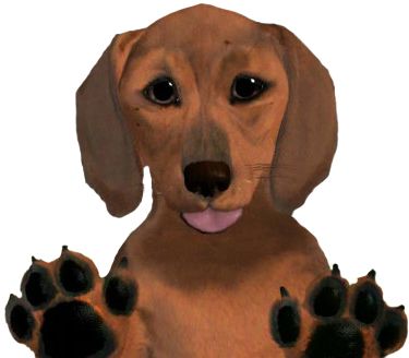 腊肠犬 PNG透明背景免抠图元素 16图库网编号:72361