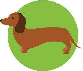腊肠犬 PNG透明背景免抠图元素 16图库网编号:72370