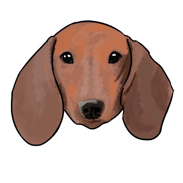 腊肠犬 PNG免抠图透明素材 16设计网编号:72375