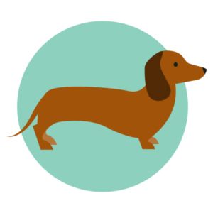 腊肠犬 PNG免抠图透明素材 16设计网编号:72378