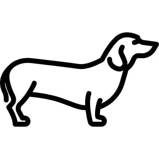 腊肠犬 PNG透明背景免抠图元素 16图库网编号:72387