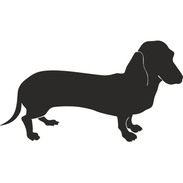 腊肠犬 PNG免抠图透明素材 16设计网编号:72388