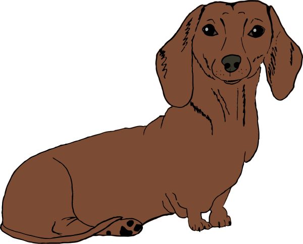 腊肠犬 PNG透明背景免抠图元素 16图库网编号:72390