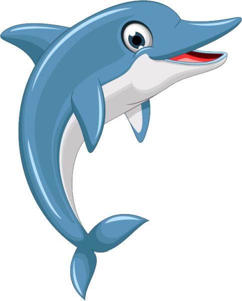 海豚 PNG透明背景免抠图元素 16图库网编号:71299