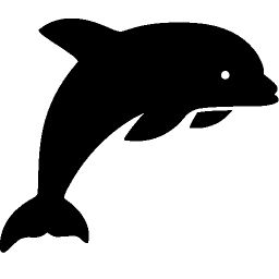 海豚 PNG透明元素免抠图素材 16素材网编号:71315