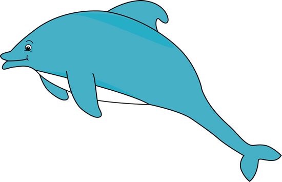 海豚 PNG免抠图透明素材 16设计网编号:71319