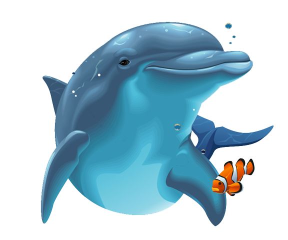 海豚 PNG免抠图透明素材 普贤居素材编号:71340