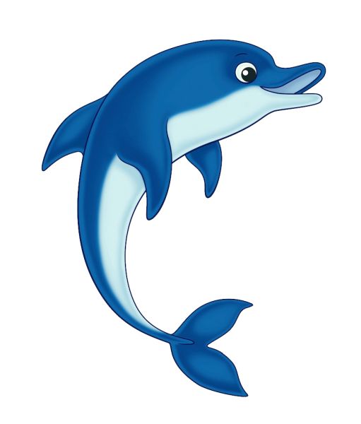 海豚 PNG透明背景免抠图元素 16图库网编号:71342