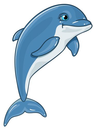 海豚 PNG透明背景免抠图元素 16图库网编号:71357