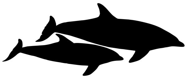 海豚 PNG透明背景免抠图元素 素材中国编号:71359