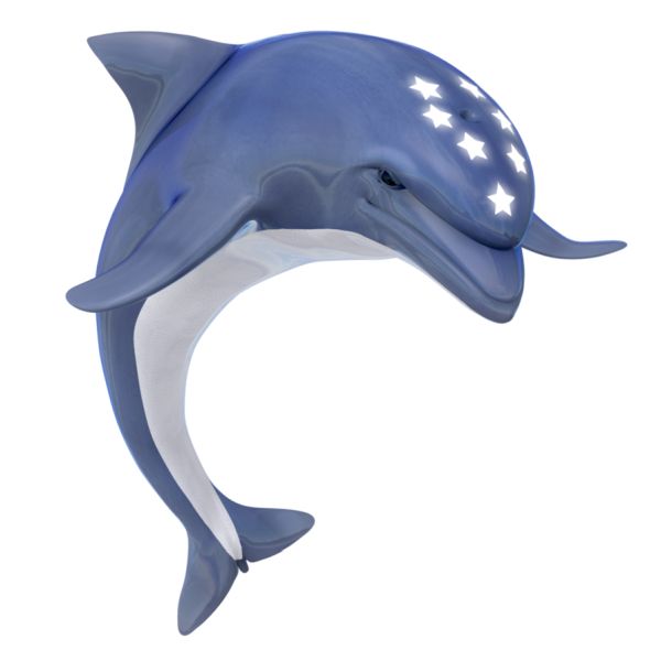 海豚 PNG透明背景免抠图元素 素材