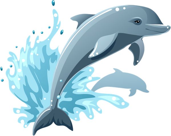 海豚 PNG免抠图透明素材 普贤居素材编号:71363
