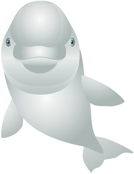 海豚 PNG透明元素免抠图素材 16素材网编号:71373