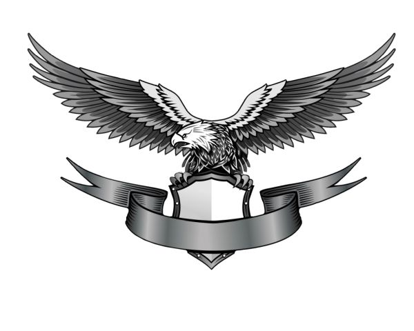 Eagle logo PNG图片，免费下载 图片编号:1227