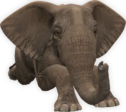 大象 PNG免抠图透明素材 素材天下编号:18767