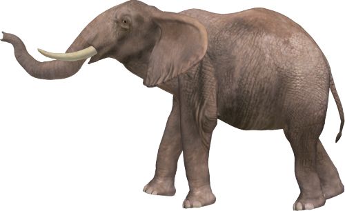 大象 PNG透明背景免抠图元素 素材中国编号:18785