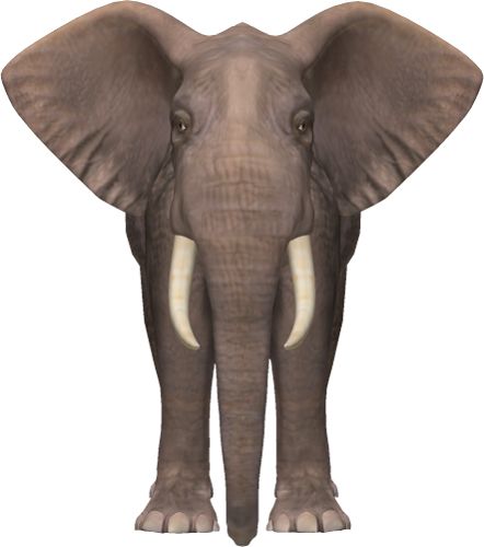 大象 PNG免抠图透明素材 16设计网编号:18786