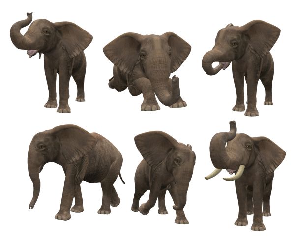 大象 PNG透明背景免抠图元素 16图库网编号:18802