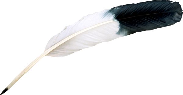 羽毛 PNG透明元素免抠图素材 16素材网编号:12965