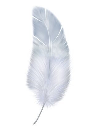 羽毛 PNG免抠图透明素材 16设计网编号:12971