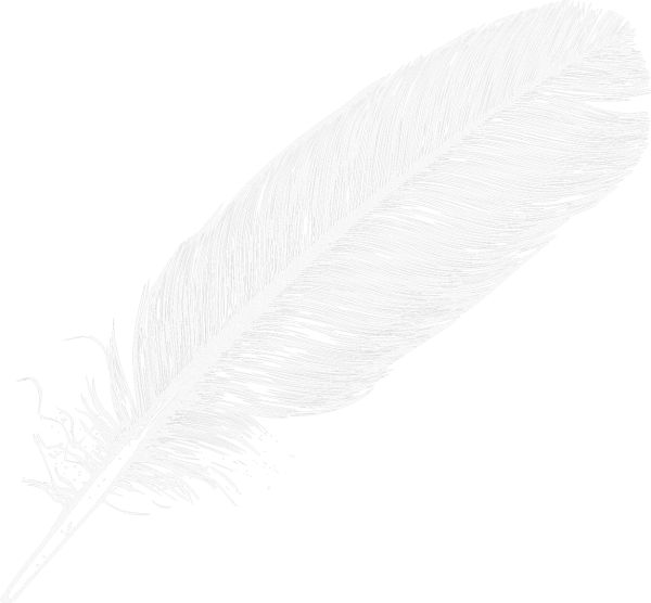 羽毛 PNG透明元素免抠图素材 16素材网编号:12991