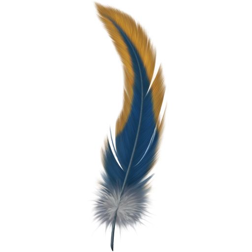 羽毛 PNG免抠图透明素材 16设计网编号:12992