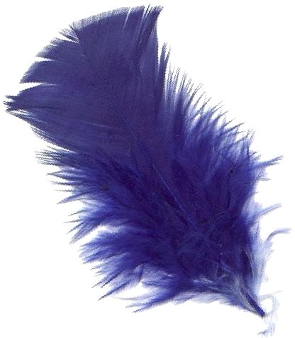 羽毛 PNG免抠图透明素材 16设计网编号:12993