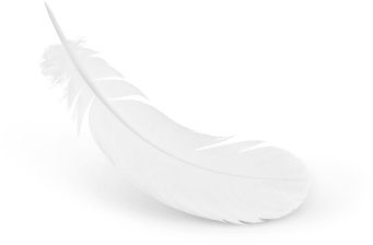 羽毛 PNG透明元素免抠图素材 16素材网编号:12999