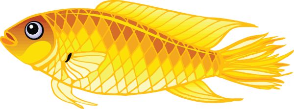 金鱼PNG透明元素免抠图素材 16素材网编号:1141