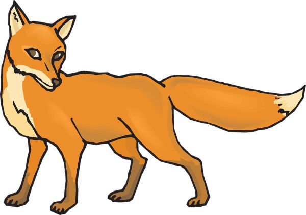 狐狸 PNG免抠图透明素材 16设计网编号:23133